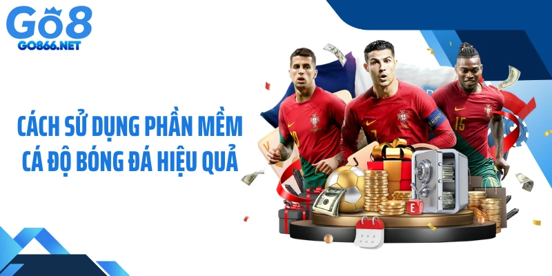 Cách sử dụng phần mềm cá độ bóng đá hiệu quả