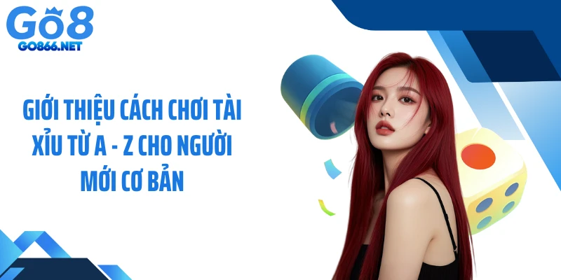 Giới thiệu cách chơi tài xỉu từ A - Z cho người mới cơ bản