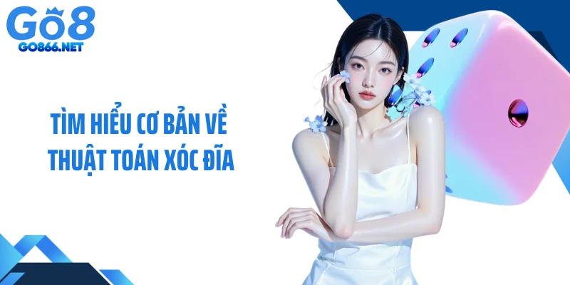 Gợi ý một số thuật toán xóc đĩa hiệu quả cho bạn