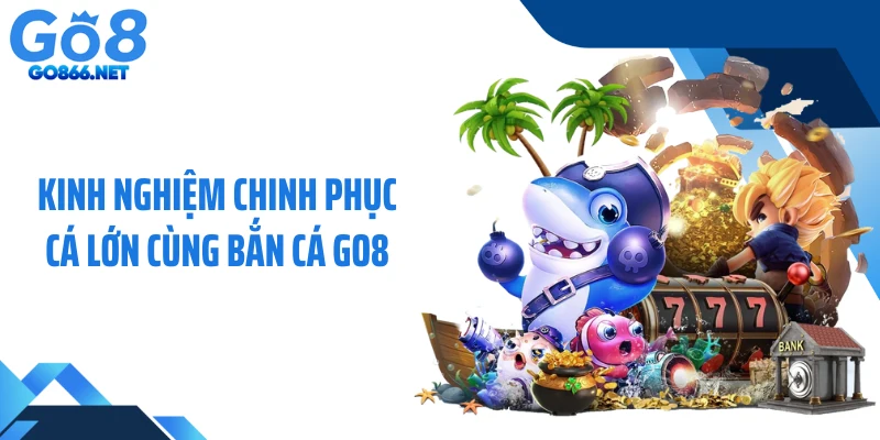 Kinh nghiệm chinh phục cá lớn cùng bắn cá GO8