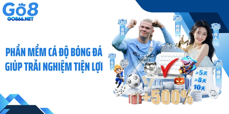 Phần mềm cá độ bóng đá giúp trải nghiệm tiện lợi