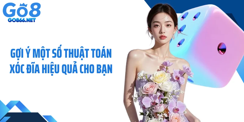 Tìm hiểu cơ bản về thuật toán xóc đĩa